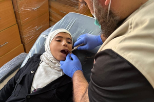 Syria: November 2025 image